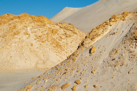 Sand waves in the desert. Bushes in the sand. Petrified sand.の写真素材