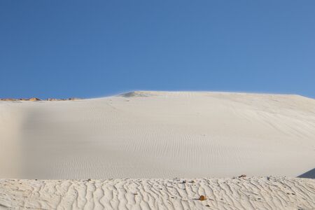Sand waves in the desert. Bushes in the sand. Ukrainian nature.の写真素材