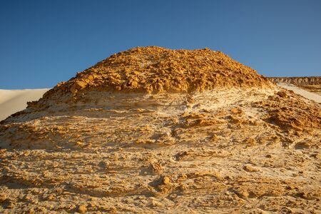 Sand waves in the desert. Bushes in the sand. Petrified sand.の写真素材