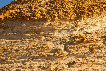 Sand waves in the desert. Bushes in the sand. Petrified sand.の写真素材