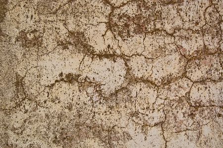 cracks in cement ground with moss growing in themの写真素材