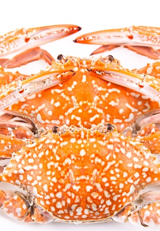 Steamed blue swimming crabsの写真素材