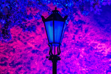 Blue light lamps in the park on a background of pink leaves.の写真素材
