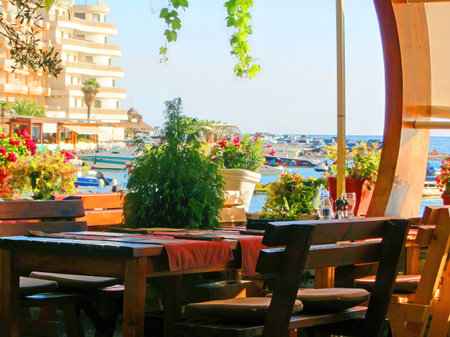 Interior cafe on the coast, an empty wooden table and chairs decorated with plants. The veranda of the seaside cafe imageの写真素材