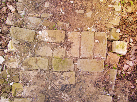 Close up of frost on reclaimed antique brick path in beautiful rural country organic garden on...