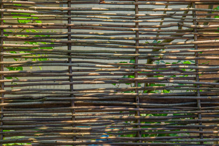 Fence wicker from the vine, texture, background. Wicker vine fence. woven vines texture embossed background. Organic woven willow wicker fenceの写真素材