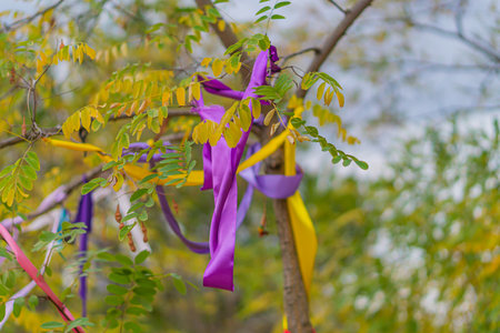 Tree decorated with colored ropes and notes on clothespins in the sunlight. Multicolored ribbons on...