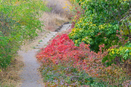 Autumn backdrop stairs sky. amazing mysterious road steps leads mystical world, fairytale path hides among yellow orange trees, October magical foggy art fantasy nature foliage garden bright abstractの写真素材