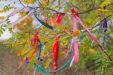 Tree decorated with colored ropes and notes on clothespins in the sunlight. Multicolored ribbons on branches of a tree against the sky. traditional wish tree in the villageの写真素材
