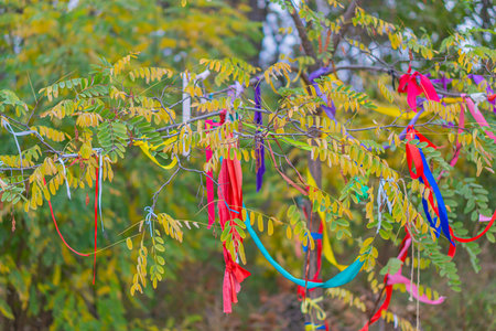 Tree decorated with colored ropes and notes on clothespins in the sunlight. Multicolored ribbons on branches of a tree against the sky. traditional wish tree in the villageの写真素材