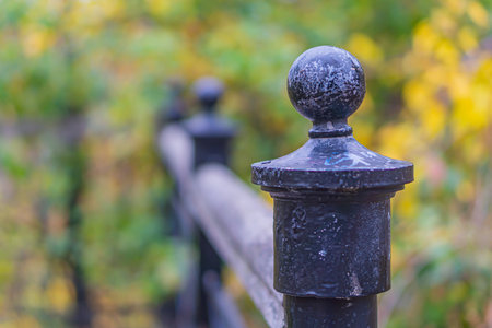 Image of a Beautiful decorative cast metal wrought fence with artistic forging. The autumn view on the golden yellow trees growing nearby the lake with black iron fence on the foregroundの写真素材