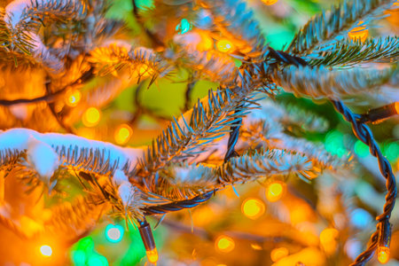 Fir tree branches with glowing yellow Christmas light as background. New Year garland on a Christmas...
