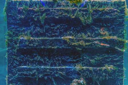 Close-up view of the bottom of a ship with algae.の写真素材