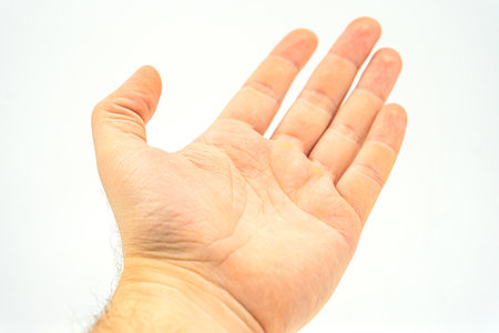 Young child hand holding some like a blank card isolated on a white background. Man's hands, gestures, signs, pointing, holding, signaling, fist, victory, palm, counting, peace, three, four.の写真素材