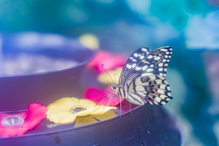 A close-up image of a Morpho butterfly on a decorated glass container with colorful flowers, capturing tranquil beauty in an outdoor settingの写真素材