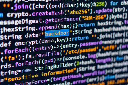 Backdoor. Close-up view of a technical computer screen display, focusing on code related to...