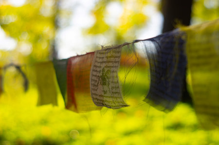 Colorful prayer flags, Tibetan Buddhist tradition, rectangular flags, silk or cotton, mantrasprayerssacred texts, yellow, red, blue, green, white, outdoor setting, forested area, bokeh effect aの写真素材