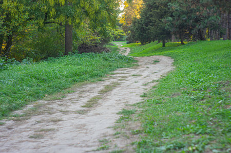 A peaceful outdoor scene with a curved dirt path, lush greenery, wildflowers, trees, blue sky,...