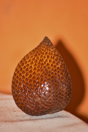 Vertical close-up of snake fruit showing high-contrast scale detail and glossy highlights on a muted...
