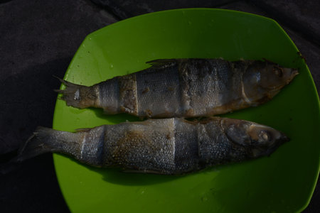 Whole cooked fish served on a green plate in natural light suitable for food seafood and cooking...