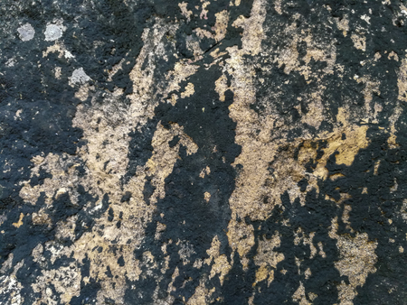 Background texture of stone wall., Marble green surface.の写真素材