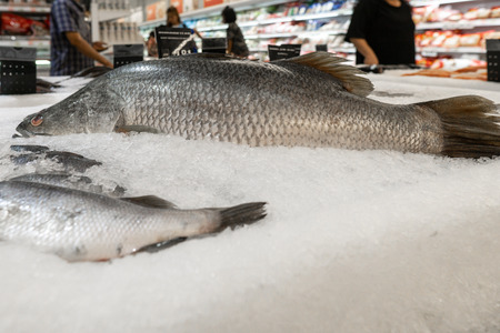 Fresh fish for sell display at stall at fresh market bangkok., thailand., with selective  focus on fish.の写真素材