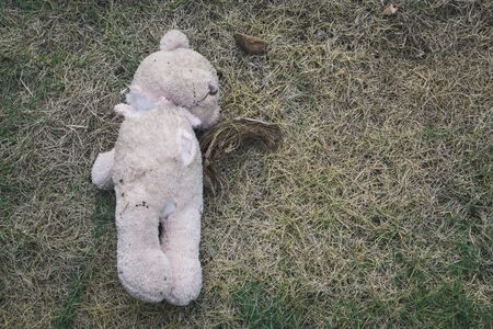 Old dirty bear doll abandoned on the grass., Lonely and sad concept. with copy space for text.の写真素材