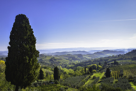 Tuscany landscape, view from San Gimignano fortress