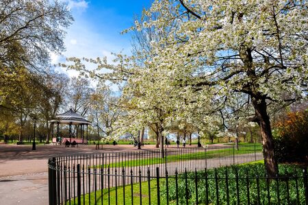 Spring in Hyde park, London, United Kingdomの写真素材