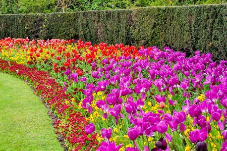 Spring in Regent's park, London, United Kingdomの写真素材