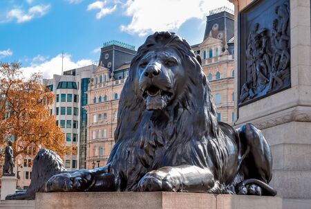 Trafalgar square lion at Nelson column, London, UKの写真素材