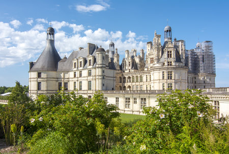 Chambord castle (chateau Chambord) in Loire valley, Franceのeditorial素材