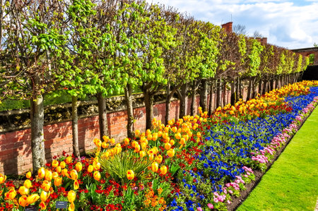 Hampton Court gardens in springのeditorial素材