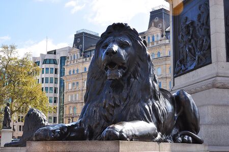 Trafalgar square lion at Nelson column, London, UKの写真素材