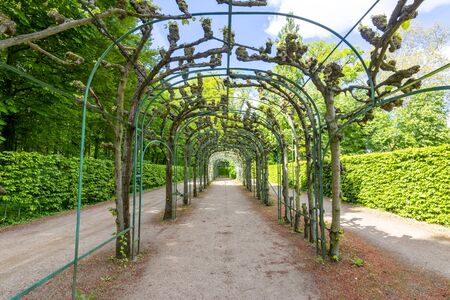 Arch alley in Sanssouci park, Potsdam, Germanyの写真素材