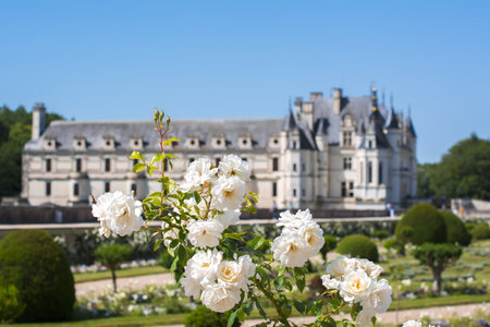 Chenonceau Castle (Chateau de Chenonceau), Loire valley, Franceのeditorial素材