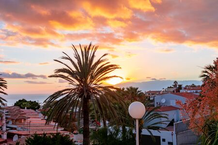 Sunset in Costa Adeje, Tenerife, Canary islands, Spainの写真素材