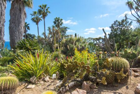 Marimurtra botanical garden in Blanes near Barcelona, Spainの写真素材