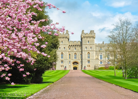 Long walk alley to Windsor castle in spring, London suburbs, UKのeditorial素材