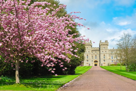 Long walk alley to Windsor castle in spring, London suburbs, UKのeditorial素材