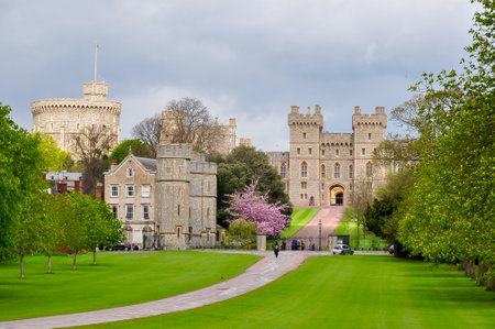 Long walk alley to Windsor castle in spring, London suburbs, UKのeditorial素材