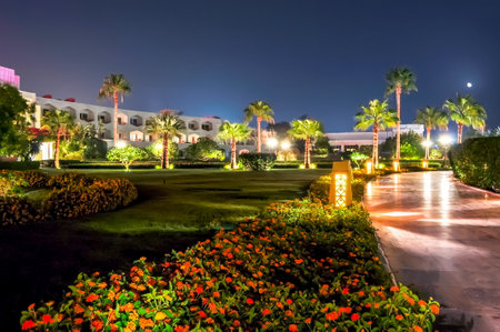 Hotel illumination and palm alley at night, Sharm El Sheikh, Egyptのeditorial素材