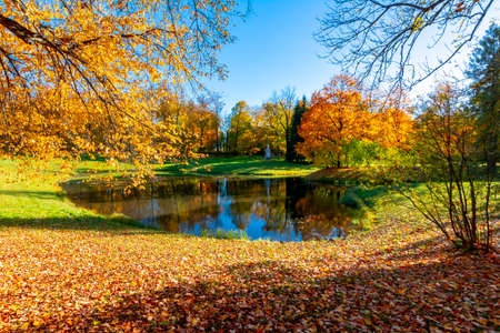 Catherine park in autumn, Tsarskoe Selo (Pushkin), St. Petersburg, Russiaの写真素材