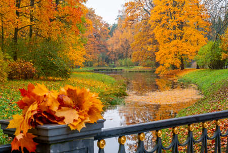 Catherine park in autumn, Tsarskoe Selo (Pushkin), St. Petersburg, Russiaの写真素材