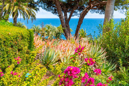Marimurtra botanical gardens at Blanes near Barcelona, Spainの写真素材