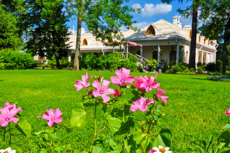 Flowers in garden of Farmer palace in Alexandria park of Peterhof, Saint Petersburg, Russiaのeditorial素材