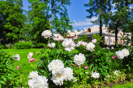 Flowers in garden of Farmer palace in Alexandria park of Peterhof, Saint Petersburg, Russiaのeditorial素材