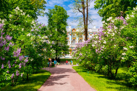 Saint Petersburg, Russia - June 2021: Catherine palace and park in Tsarskoe Selo (Pushkin)のeditorial素材