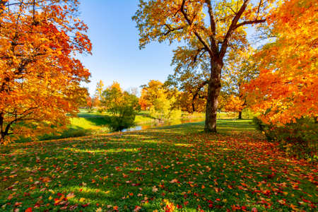 Alexander park in autumn, Pushkin (Tsarskoe Selo), St. Petersburg, Russiaの写真素材