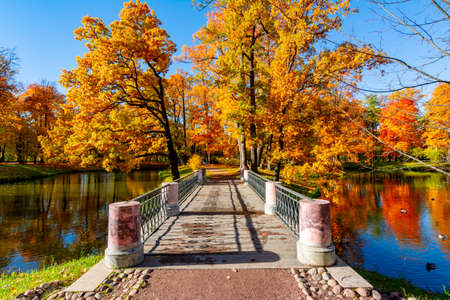 Bridge in Alexander park in autumn, Tsarskoe Selo (Pushkin), Saint Petersburg, Russiaの写真素材